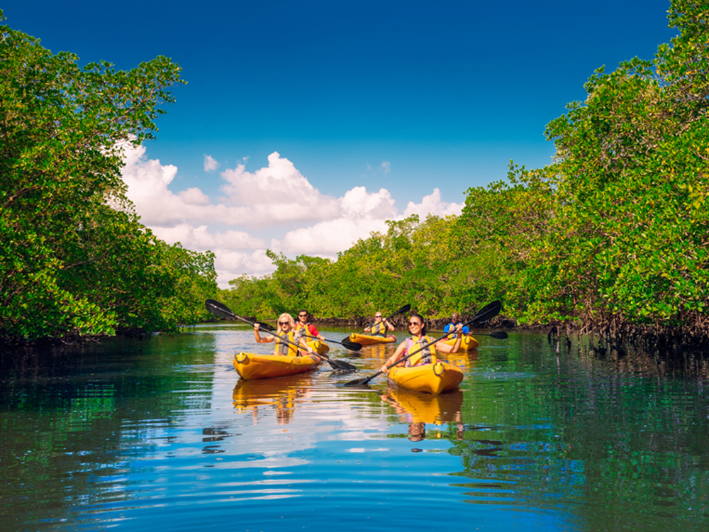 Fort Myers Islands, Beaches And Neighborhoods, Kayaking