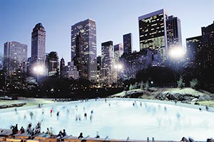 Central Park im Winter, New York City